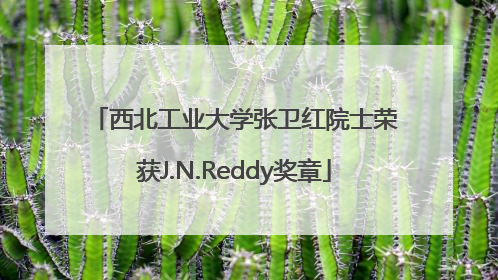 西北工业大学张卫红院士荣获J.N.Reddy奖章
