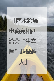 西永跨境电商亮相西洽会“生态圈”越做越大