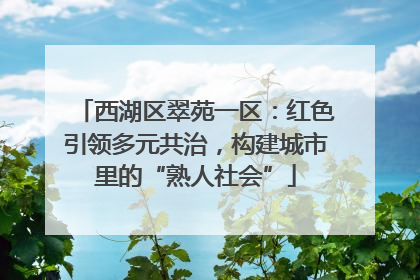 西湖区翠苑一区：红色引领多元共治，构建城市里的“熟人社会”