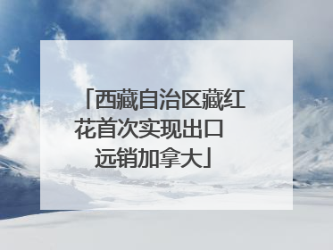 西藏自治区藏红花首次实现出口 远销加拿大