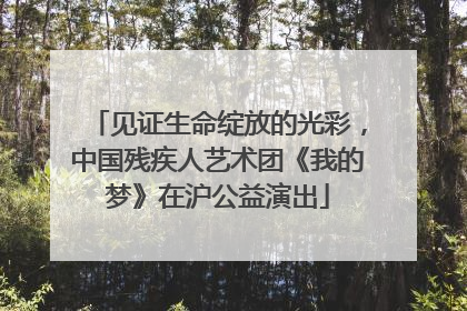 见证生命绽放的光彩，中国残疾人艺术团《我的梦》在沪公益演出