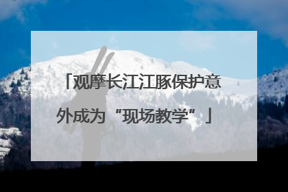 观摩长江江豚保护意外成为“现场教学”