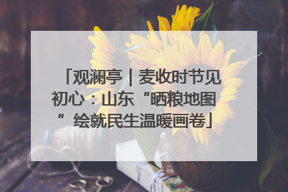观澜亭｜麦收时节见初心：山东“晒粮地图”绘就民生温暖画卷