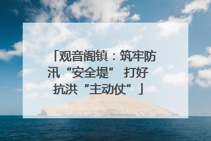 观音阁镇：筑牢防汛“安全堤” 打好抗洪“主动仗”