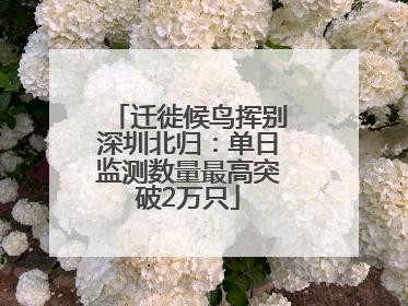迁徙候鸟挥别深圳北归：单日监测数量最高突破2万只