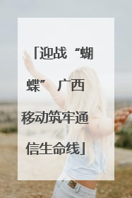 迎战“蝴蝶” 广西移动筑牢通信生命线