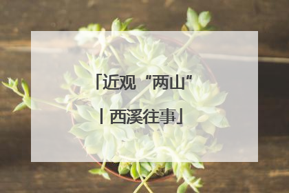 近观“两山”丨西溪往事