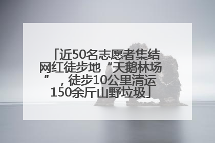 近50名志愿者集结网红徒步地“天鹅林场”，徒步10公里清运150余斤山野垃圾