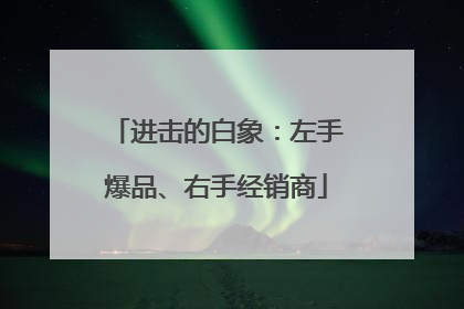 进击的白象：左手爆品、右手经销商