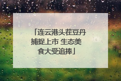 连云港头茬豆丹捕捉上市 生态美食大受追捧