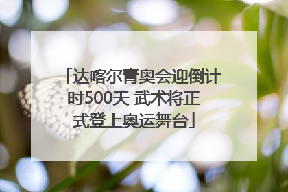 达喀尔青奥会迎倒计时500天 武术将正式登上奥运舞台