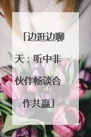 边逛边聊天：听中非伙伴畅谈合作共赢