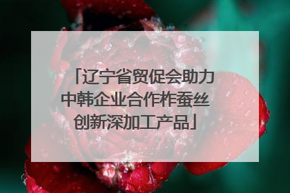辽宁省贸促会助力中韩企业合作柞蚕丝创新深加工产品
