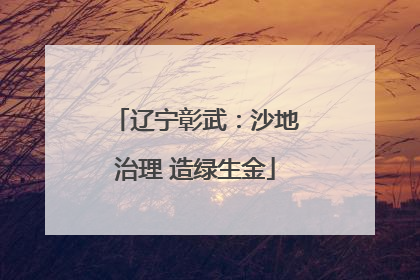 辽宁彰武：沙地治理 造绿生金