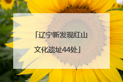 辽宁新发现红山文化遗址44处