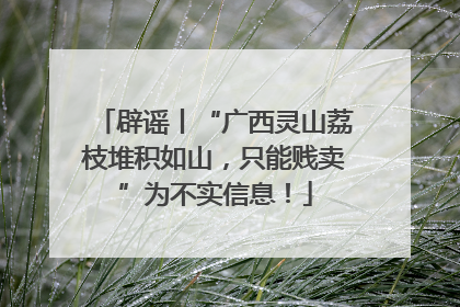 辟谣丨“广西灵山荔枝堆积如山，只能贱卖”为不实信息！