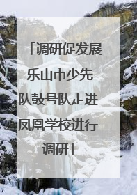 调研促发展 乐山市少先队鼓号队走进凤凰学校进行调研