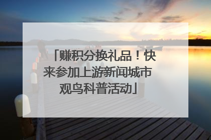 赚积分换礼品！快来参加上游新闻城市观鸟科普活动