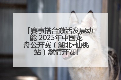 赛事搭台激活发展动能 2025年中国龙舟公开赛（湖北•仙桃站）燃情开赛