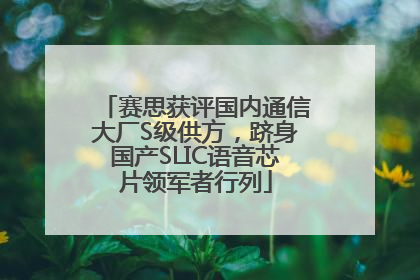 赛思获评国内通信大厂S级供方，跻身国产SLIC语音芯片领军者行列