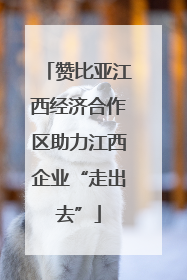 赞比亚江西经济合作区助力江西企业“走出去”