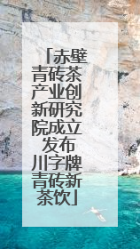 赤壁青砖茶产业创新研究院成立 发布川字牌青砖新茶饮