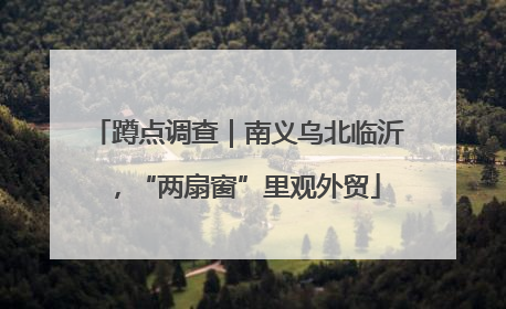 蹲点调查｜南义乌北临沂，“两扇窗”里观外贸