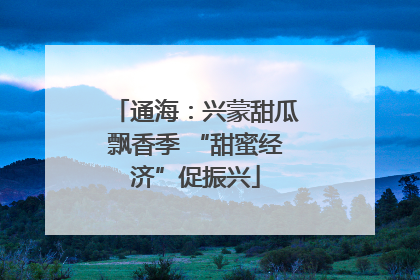 通海：兴蒙甜瓜飘香季 “甜蜜经济”促振兴