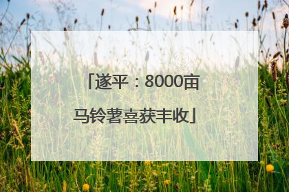 遂平：8000亩马铃薯喜获丰收