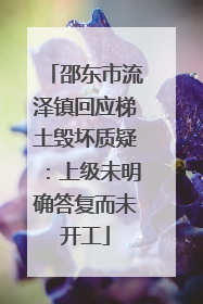 邵东市流泽镇回应梯土毁坏质疑：上级未明确答复而未开工