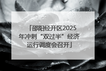 邵阳经开区2025年冲刺“双过半”经济运行调度会召开