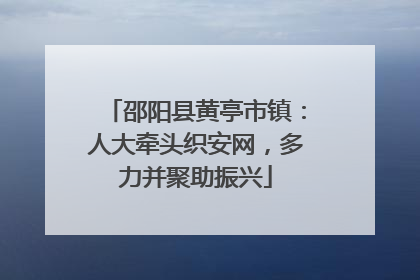 邵阳县黄亭市镇：人大牵头织安网，多力并聚助振兴