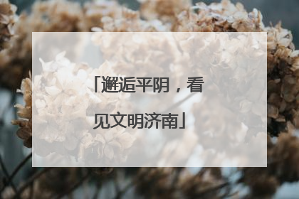 邂逅平阴，看见文明济南