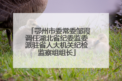 鄂州市委常委邹霞调任湖北省纪委监委派驻省人大机关纪检监察组组长