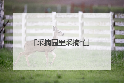 采摘园里采摘忙