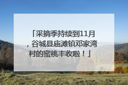 采摘季持续到11月，谷城县庙滩镇邓家湾村的蜜桃丰收啦！