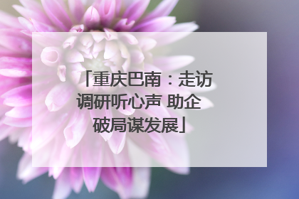 重庆巴南：走访调研听心声 助企破局谋发展
