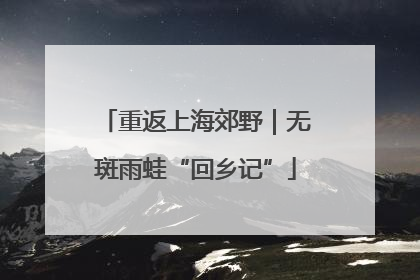 重返上海郊野｜无斑雨蛙“回乡记”