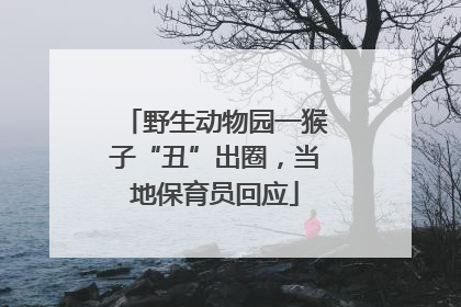 野生动物园一猴子“丑”出圈，当地保育员回应