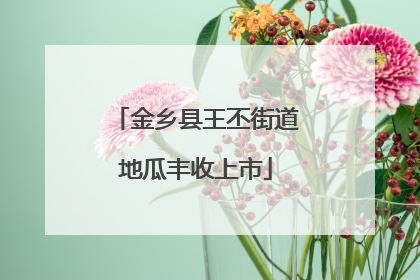 金乡县王丕街道地瓜丰收上市