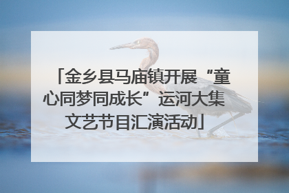 金乡县马庙镇开展“童心同梦同成长”运河大集文艺节目汇演活动