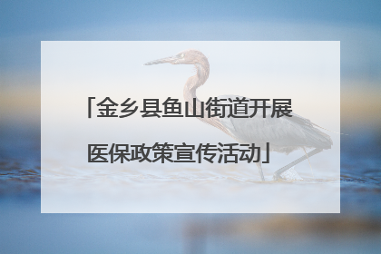 金乡县鱼山街道开展医保政策宣传活动
