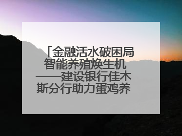 金融活水破困局 智能养殖焕生机——建设银行佳木斯分行助力蛋鸡养殖突围