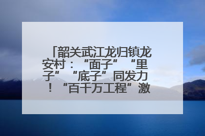 韶关武江龙归镇龙安村：“面子”“里子”“底子”同发力！“百千万工程”激活乡村新动能