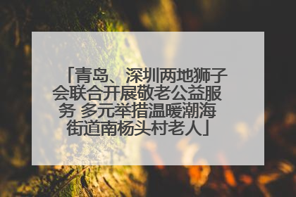 青岛、深圳两地狮子会联合开展敬老公益服务 多元举措温暖潮海街道南杨头村老人