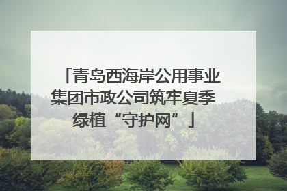 青岛西海岸公用事业集团市政公司筑牢夏季绿植“守护网”