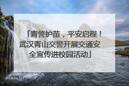 青警护苗，平安启程！武汉青山交警开展交通安全宣传进校园活动