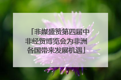 非媒盛赞第四届中非经贸博览会为非洲各国带来发展机遇