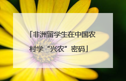 非洲留学生在中国农村学“兴农”密码