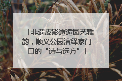 非遗皮影邂逅园艺雅韵，顺义公园演绎家门口的“诗与远方”
